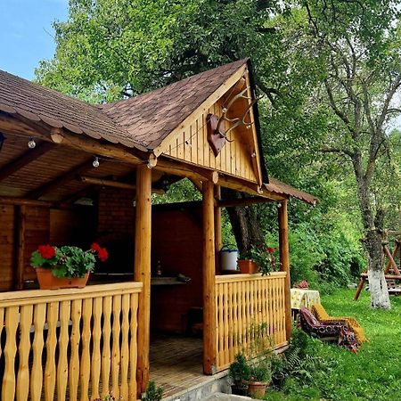 Casa Dorina Villa บราน ภายนอก รูปภาพ