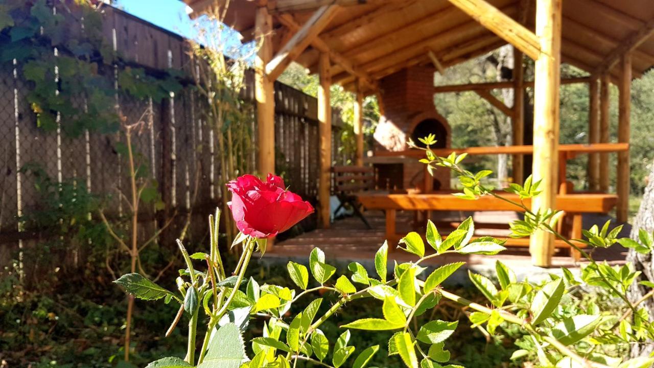 Casa Dorina Villa บราน ภายนอก รูปภาพ
